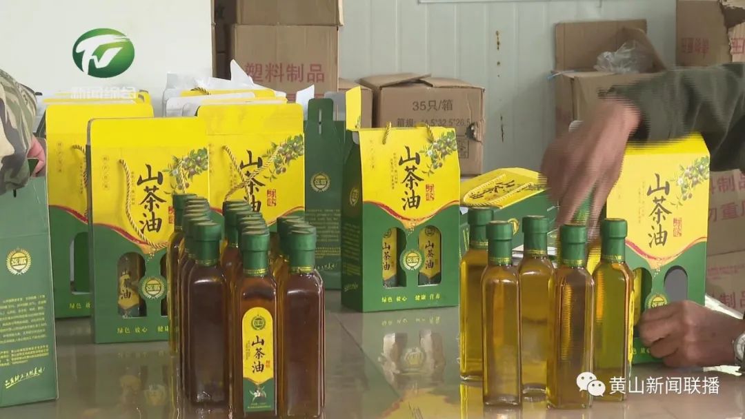 黄山区弦歌村：发展油茶特色农业 打造精致农旅综合体