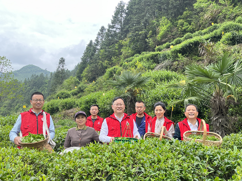 以责任担当之念，筑乡村振兴之梦  ——黄山休宁县烟草专卖局（营销部）助力乡村振兴工作纪实