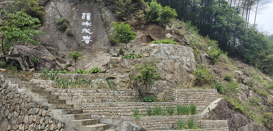 休宁县龙田乡： 打造秀美乡村，绘就乡村振兴新画卷