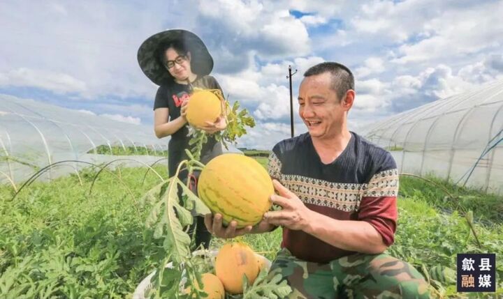 新品！歙县富堨“小黄人”西瓜甜蜜上市啦