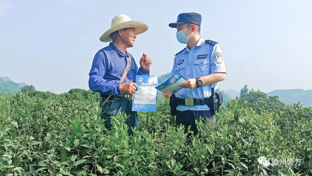 呈坎派出所：反诈宣传进茶园 守护群众“养老钱”