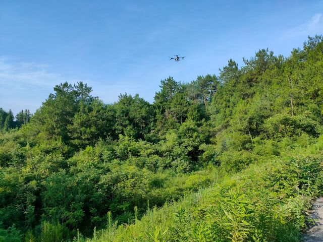 屯溪区屯光镇：林业有害生物防治有了新“神器”