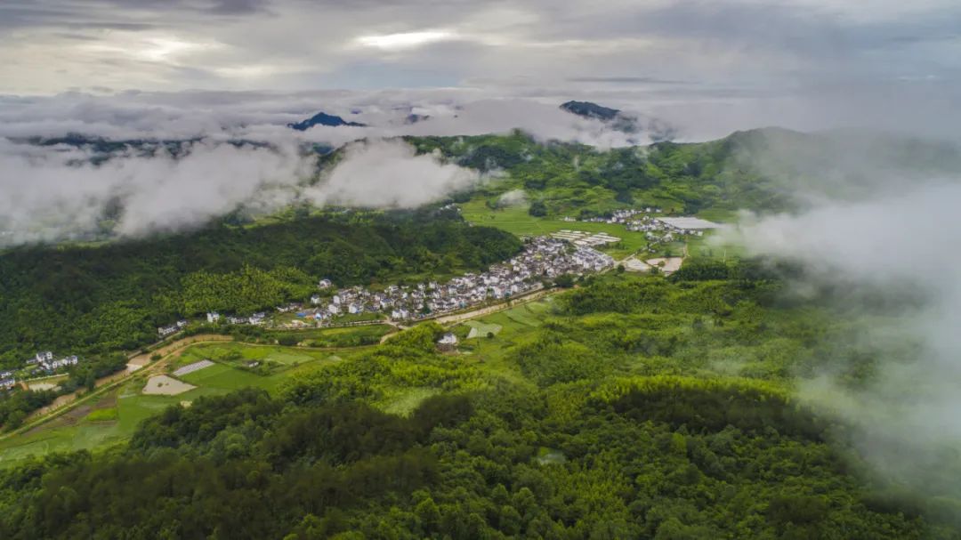 【“五微”行動】“長壽村”的新變化