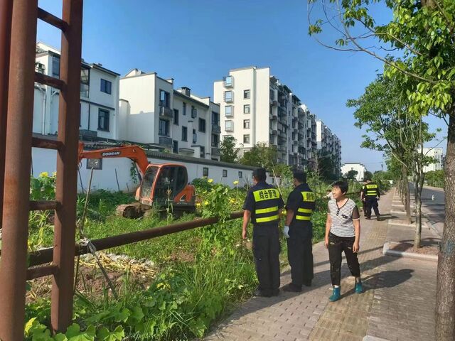 休宁经开区：开展公共绿地占用专项整治行动