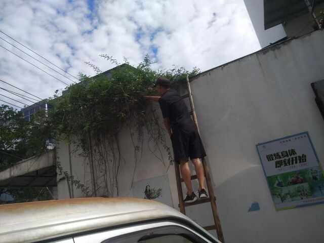 屯溪区昱东街道：清除杂草藤蔓 为民办实事