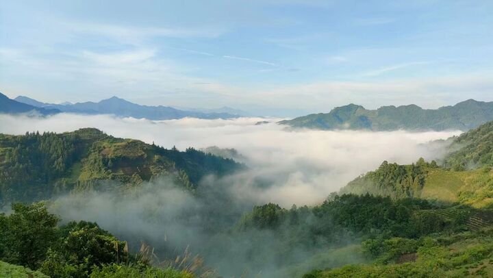 歙县霞坑镇：盛夏仙境，云海如浪
