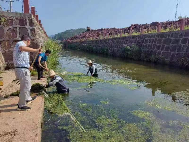休宁经开区：清理河道解民忧 党员群众齐“治水”