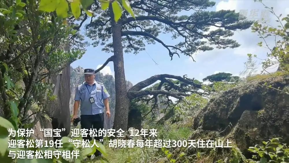 新华社 | 他们用心用情守护美丽黄山