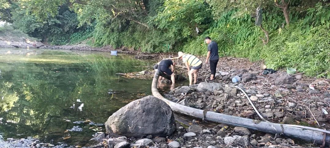 屯溪区屯光镇：抗旱保苗解民忧！把担当奉献书写在基层一线