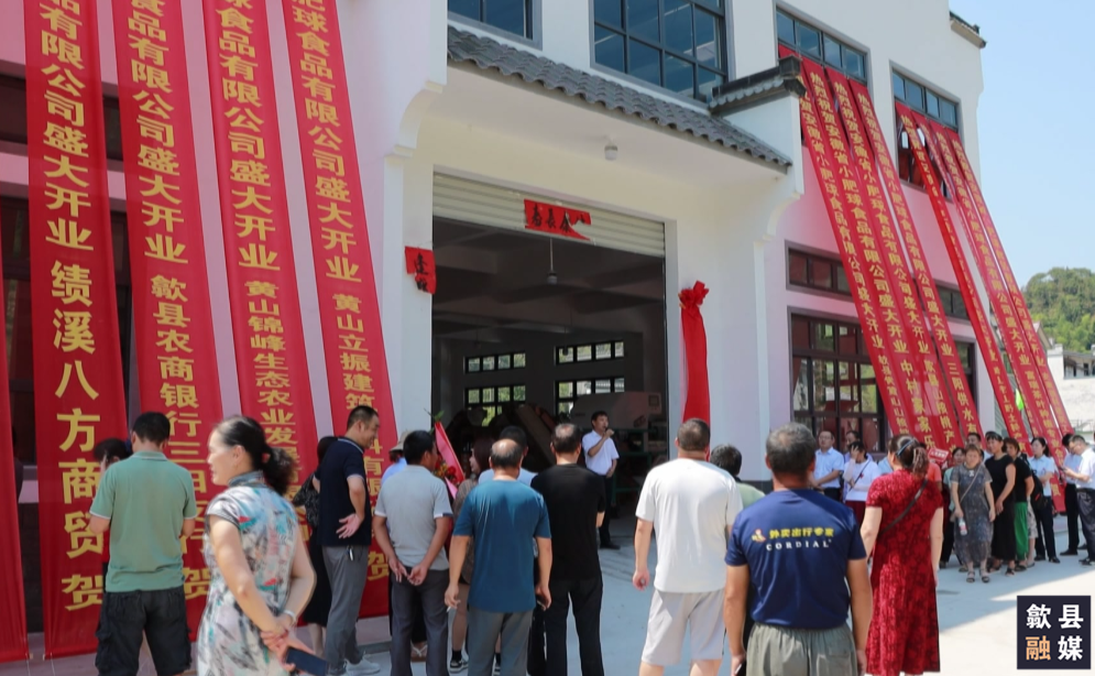 歙县三阳镇：实体强村 拓宽乡村振兴新路径