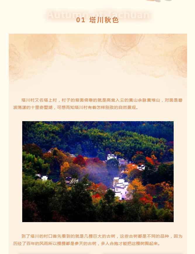 徽聚丨走进塔川村：与塔川秋色撞个满怀