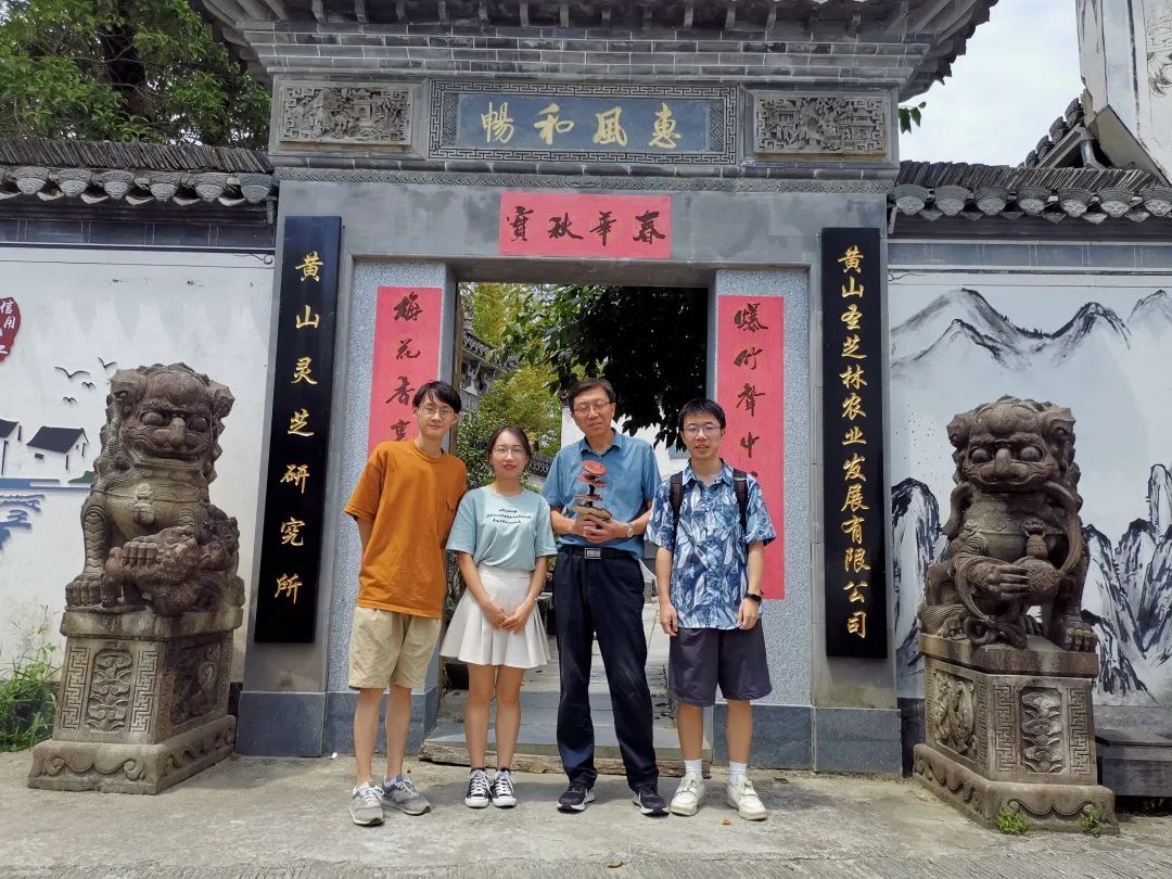 徽聚丨星火、新火点亮金家岭