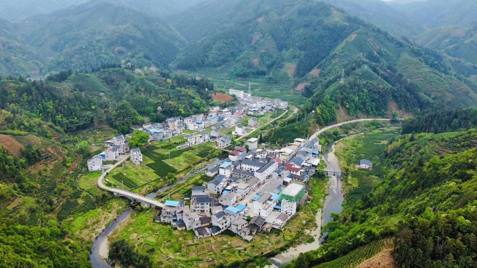 祁门县古溪乡：严格落实茶园绿色防控，打造原生态“健康茶”
