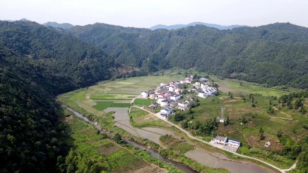 【五微行动】高源村：“微改造”让乡村颜值美而精