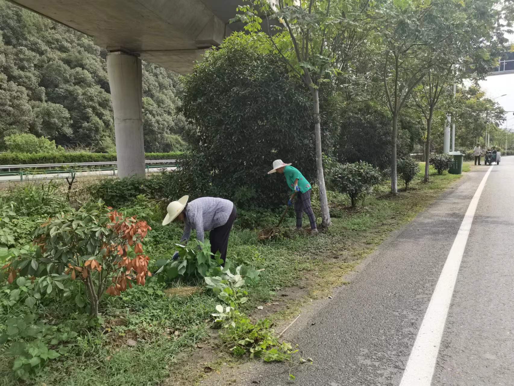 歙县北岸镇：“三强化”持续推进省道沿线人居环境整治工作