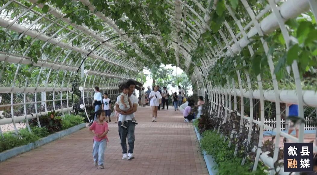 【网络中国节·中秋】歙县：近郊游人气满满 多彩假日全家欢
