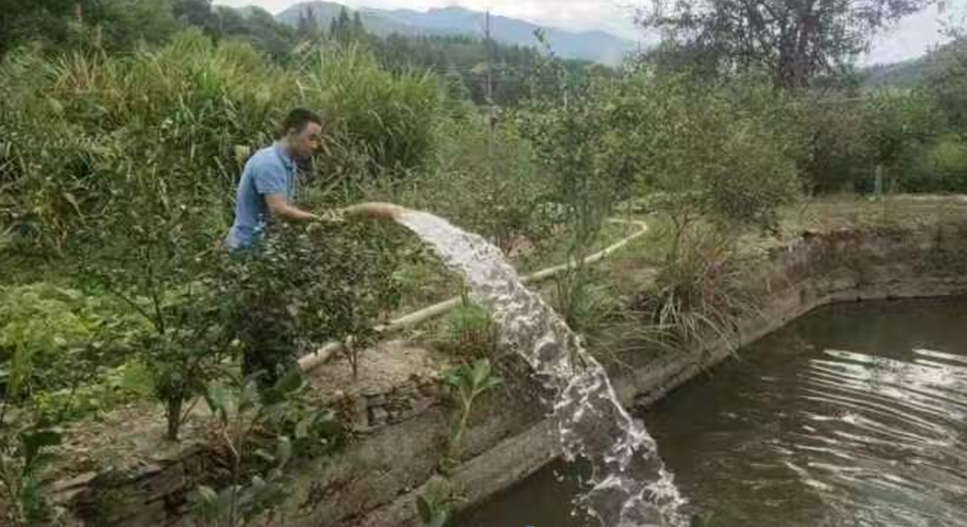 祁门县渚口乡：干旱缺水人有情   快速送水抢救鱼