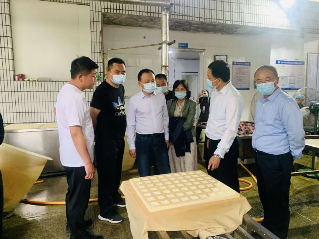 党建引领“豆腐村”产业振兴促发展