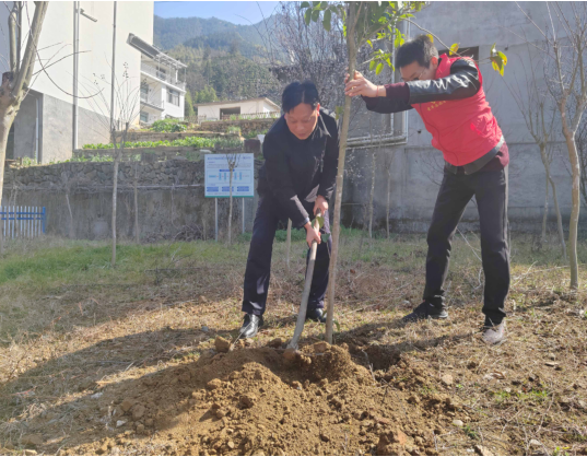 和美狮石我先行，助力乡村绿色兴