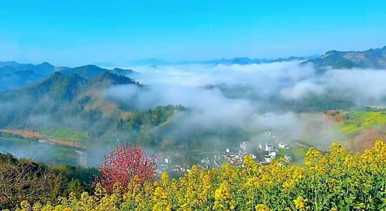 黄山市歙县霞坑镇：三月，石潭绽放“致富花”