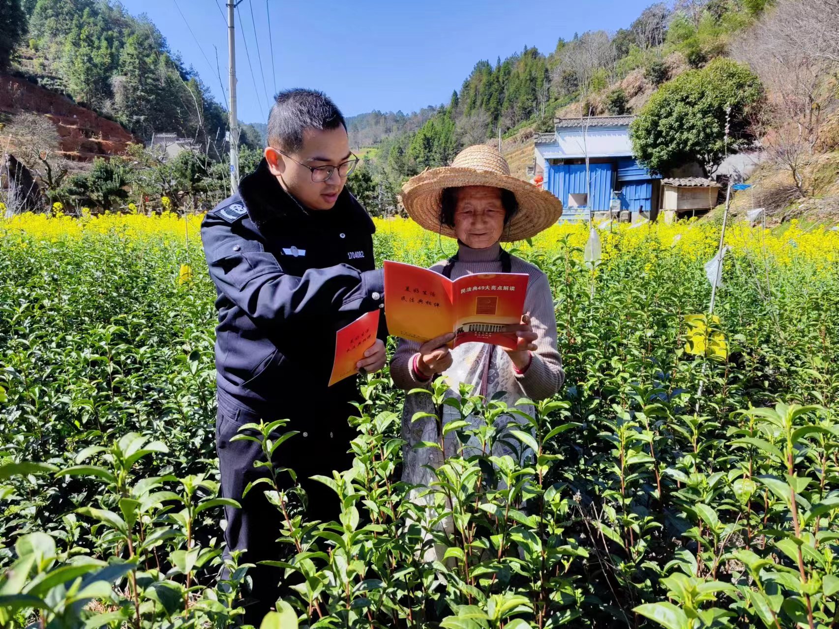 歙县徽城镇：宣传工作进茶园