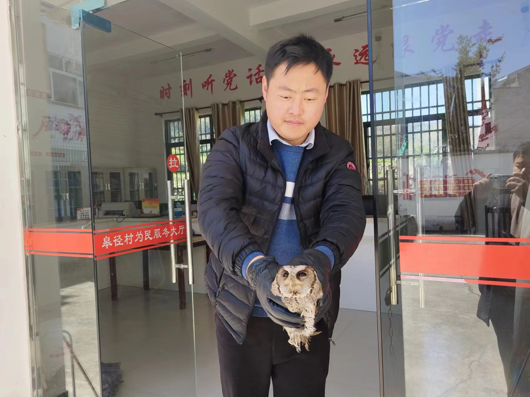 歙县森村乡：解救“落难”猫头鹰