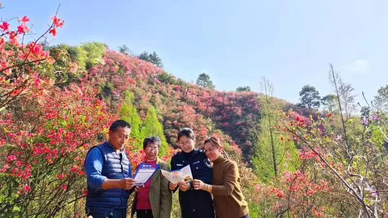 歙县桂林镇：杜鹃花开引客来 普法宣传添新景