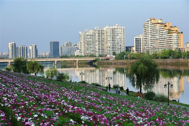 繁花似锦城区美