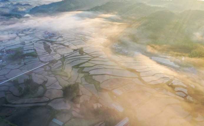 安徽：当田园乡村成为创业乐土