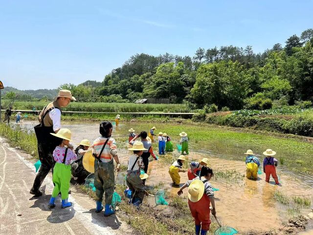 屯溪区屯光镇汉沙村：赏乡村田园风光 享农事体验之旅