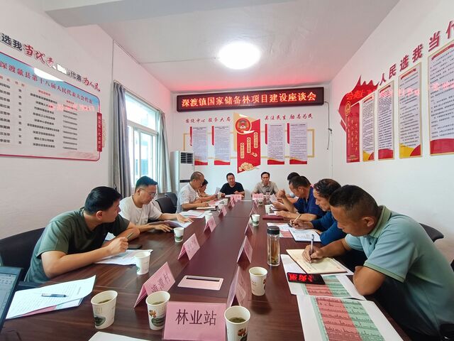 歙县深渡镇召开国家储备林项目建设座谈会