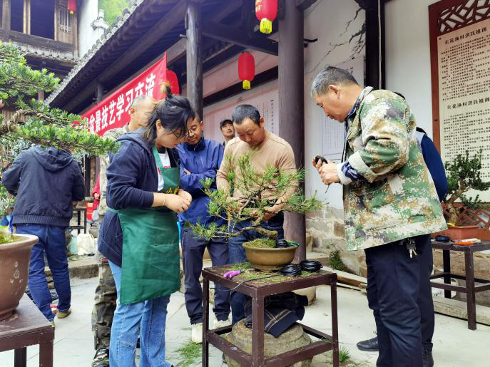 歙县：“一枝梅”绽放“满园春”