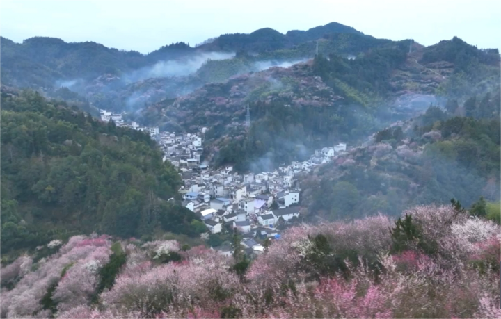 卖花渔村春意闹   踏春赏梅乐悠悠