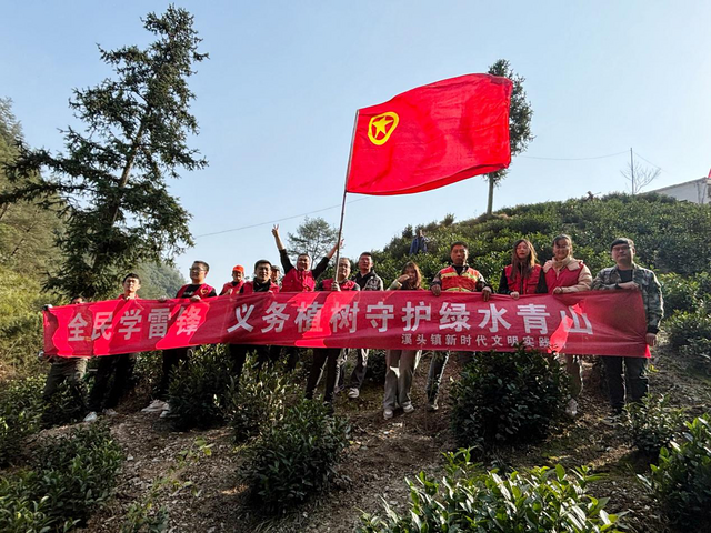 栽种一片经济林  赢来一片赞美声
