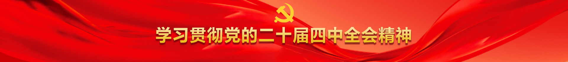 学习贯彻党的二十届四中全会精神