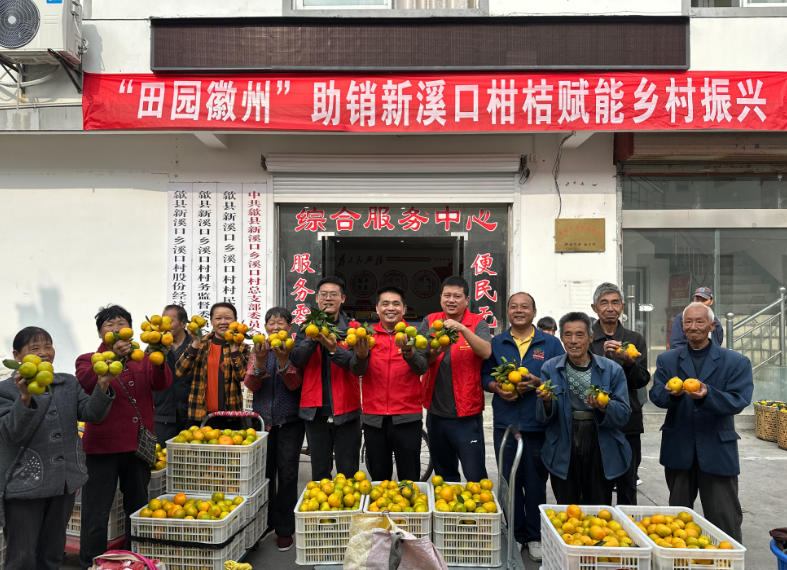 歙县新溪口乡：助农专车开进新溪口 早熟柑桔“抢鲜”出山