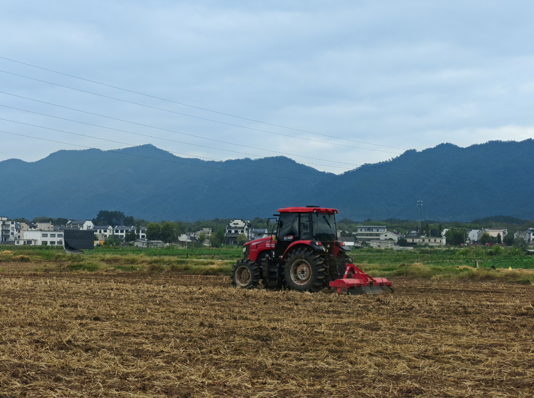 歙县桂林镇：好政策赋能农业提质  高科技筑牢粮油安全