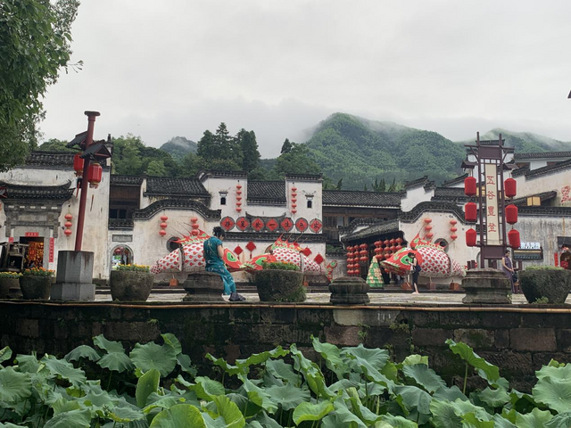 黄山市徽州区：呈坎荷叶韵诗意，静待荷花盛景
