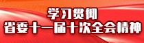 专题 | 学习贯彻省委十一届十次全会精神